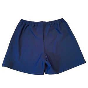 Nike Women Dri-Fit Blue Shorts Size L NWOT